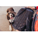 Gregory Nano 16L Daypack - Mens, Moab Tan, One Size, 153056-A546
