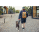 Gregory Nano 16L Daypack - Mens, Moab Tan, One Size, 153056-A546