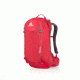 Gregory Salvo 24 Backpack, Tango Red, Men's, 91596-4361