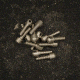GrovTec US 3/4in Satin Nickel Plated Wood Screws Pack - 12 pcs, Nickel GTHM57