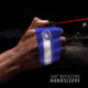 Guard Dog Security Instafire Reflect, 1/2 oz Pepper Spray with Reflective Active Hand Sleeve, Blue, One Size, PS-GDIFR-BL
