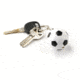 Guard Dog Security Sport Ball Keychain Alarm, Soccerball, Multicolored, AL-GDPASB
