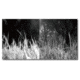 Guide Sensmart DR Series DR30 2.1-16.8x30mm Night Vision Rifle Scope, 1920x1080, Black, DR30
