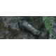 Guide Sensmart TK Gen2 Series TK431 2.3-9.2x35mm Thermal Monocular, 400x300, Black, TK431