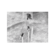 Guide Sensmart TN series LRF TN430 2.3-9.2x30mm Thermal Binocular, 400x300, Black, TN430LRF