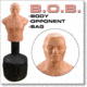 Gun Video B.O.B. Training System T0075