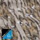 Habit All Season Camo Pant - Mens, Mossy Oak Bottomland, Medium, LP10042-M-8-6-M-6H4