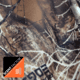 Habit Summit Park Performance Hoodie - Mens, RealTree Edge, Extra Large, PH10005-922-XL