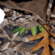 Habit Summit Park Performance Hoodie - Mens, RealTree Edge, Extra Large, PH10005-922-XL