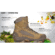 HAIX Scout 2.0 Hiking Boots - Mens, Brown, 13 US, Medium, 206319M-13