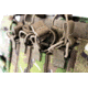 Haley Strategic Partners D3CRX Disruptive Environments Chest Rig X, Multicam, D3CRX-MC