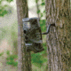 HALF RACK 2-Op Trail Camera Mount, Silver, Small, HR1400