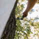 HALF RACK Bow Wing Kit, Black, Medium, HR1651