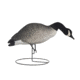Hard Core Rugged FB Canada Goose Feeder - flocked head, 6-pack, 01-100-0043