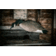 Hard Core Rugged FB Canada Goose Feeder - Fully Flocked, 6-pack, 01-100-0041