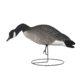 Hard Core Rugged FB Canada Goose Feeder - Fully Flocked, 6-pack, 01-100-0041