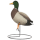 Hard Core Rugged FB Mallards Flocked Drake Heads Touchdown, 6-pack, 01-200-0025
