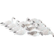 Hard Core Rugged FB Snow Touchdown, 12-pack, 01-101-0017