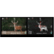 Hawk Gazer Tactical Night Vision Rifle Socpe