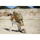 Hazard 4 Overwatch Rifle Carry Roll-Pack, MultiCam RFL-OVWC-MTC
