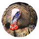 Heads Up Decoy Tom Turkey Decoy, Brown 74132