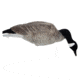 Mayhem Decoys by Heavy Hauler Outdoor Gear Canada Goose Field Decoy, 1 dozen HH0134CP