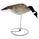 Mayhem Decoys by Heavy Hauler Outdoor Gear Canada Goose Field Decoy, 1 dozen HH0134CP