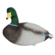 Mayhem Decoys by Heavy Hauler Outdoor Gear Mallard Field Decoy, 1 dozen HH0135M
