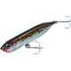 Heddon Chugn Spook Jr. Topwater Bait, Floating, 1/2oz, 3-1/2in, Sea Trout, X9536437