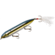 Heddon Super Spook Topwater Walking Bait, 5in, 7/8oz, Feathered Treble, Foxy Momma, X9256F426