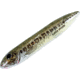 Heddon Super Spook Topwater Walking Bait, 5in, 7/8oz, Florida Bass, X9256HFB