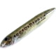 Heddon Super Spook Topwater Walking Bait, 5in, 7/8oz, Florida Bass, X9256HFB