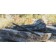 Helix 6 Precision Carbon Fiber Rifle Barrel Blank, .277, 26in, Black, 277-80-120026-5