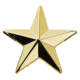 1 Star Pin 1/2'' High - Pair
