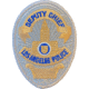 HEROS PRIDE Lapd Deputy Chief Badge Patch 2 11/16x3 5/8 - Pair - 5059F