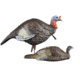 Higdon Outdoors 1/4 Strutt &amp; Laydown Hen, Jake &amp; Jill, 63181
