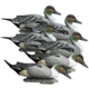 Higdon Outdoors Battleship Pintail, Multi Color, Foam Filled, 6 Pack, 16544