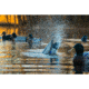 Higdon Outdoors 54073 Pulsator Mallard Drake Species