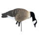 Higdon Outdoors APEX Canada Goose Decoy Flocked Head, Lifesize, 72247