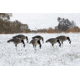 Higdon Outdoors APEX Canada Goose Decoy Flocked Head, Lifesize, 72247