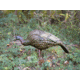 Higdon Outdoors Hard Body Feeder Hen Turkey Decoy, 63122