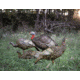 Higdon Outdoors Hard Body Laydown Hen Turkey Decoy, 63133