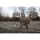 Higdon Outdoors Higdon Blind Quick Draw Dog Blind Dirt AB3F41A9