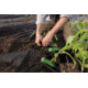 Hooyman Gardening Tool Set, 1178124