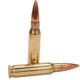 Hornady American Gunner .308 Winchester 155 grain Boat-Tail Hollow Point Brass Cased Centerfire Rifle Ammo, 50 Rounds, 80967