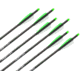 Horton Archery Omni Brite 2.0 Lighted Carbon 20 in  Arrows, Pack of 6 HEA-728.6
