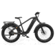 Hovsco HOVSCO HovAlpha Long-Range E-Bike, 374-BIY10-T44F1G