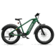 Hovsco HOVSCOTM HovAlpha 26" Fat Tire Electric Bike, 374-BIY10-T44F1G+161-ADY65-J5083