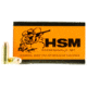 HSM Ammunition Training 10mm Auto 180 Grain Full Metal Jacket Brass Cased Pistol Ammo, 50 Rounds, 10MM2N
