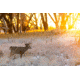 It's Never Too Early To Get Hunting Ammo